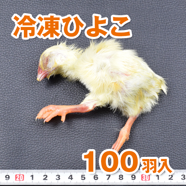 冷凍ひよこ　100羽入り　PETMAP