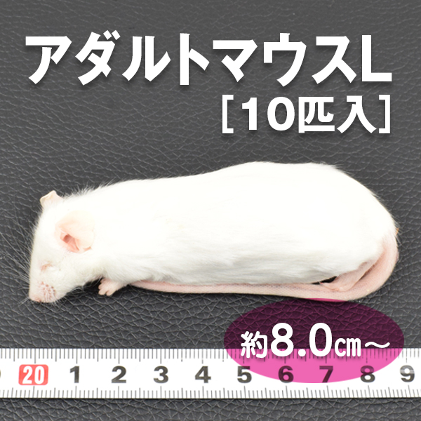 冷凍マウス / PETMAP