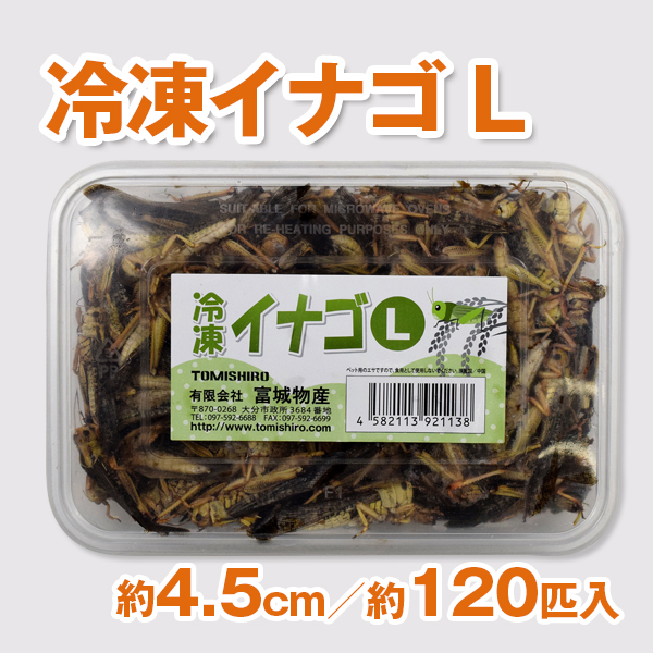 冷凍イナゴ Lサイズ 200g×25個セット エサ 冷凍餌 小動物 中型魚 えさ 大型魚 両生類