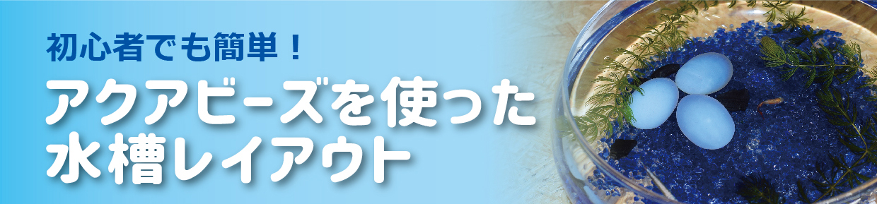 アクアビーズを使った水槽レイアウト