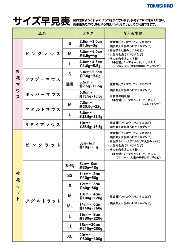 サイズ早見表